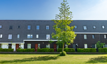 Rijtjeshuis vlindertuin