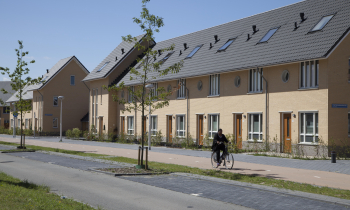 150 won. veilingterrijn (06).jpg