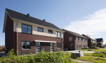 marum (15).jpg