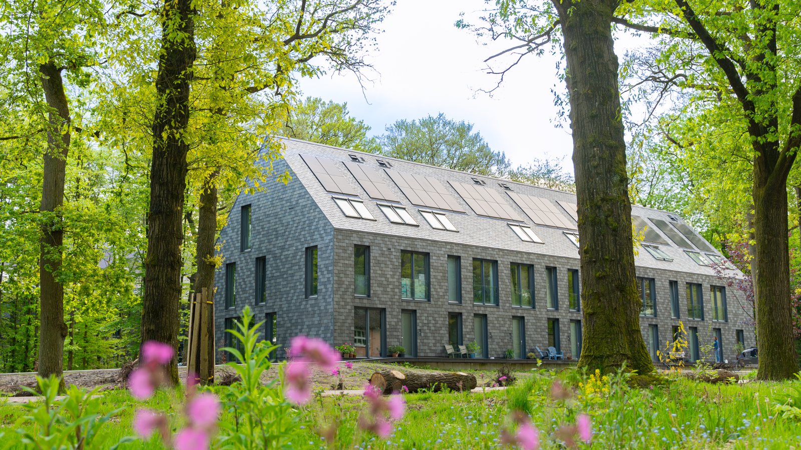 Arnhem Buitenplaats + bloem