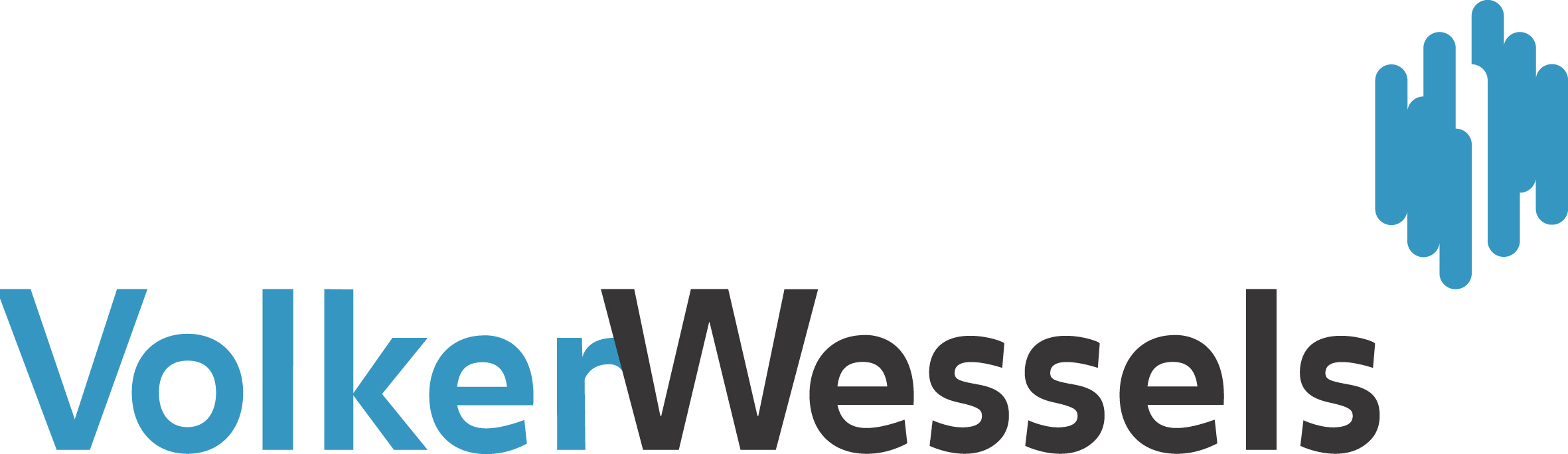Logo_VW_Pms-pos 300 dpi.jpg